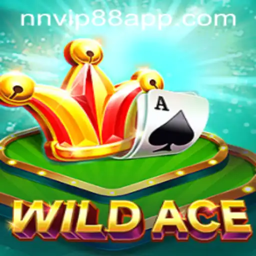 NNVIP88.COM Casino Withdrawal